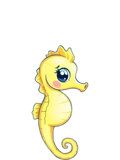 Seahorse